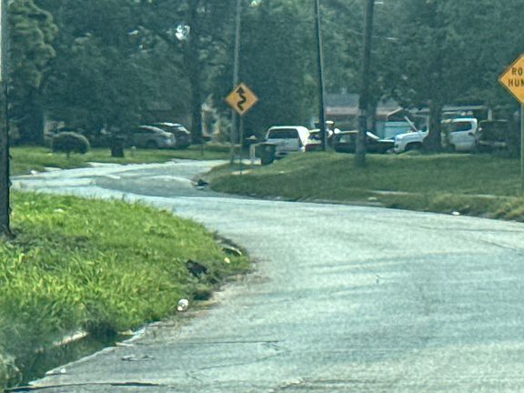 5th image of 7326 Sterlingshire St