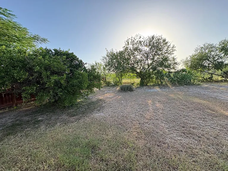 8404 Las Palmas Dr — Photo 4
