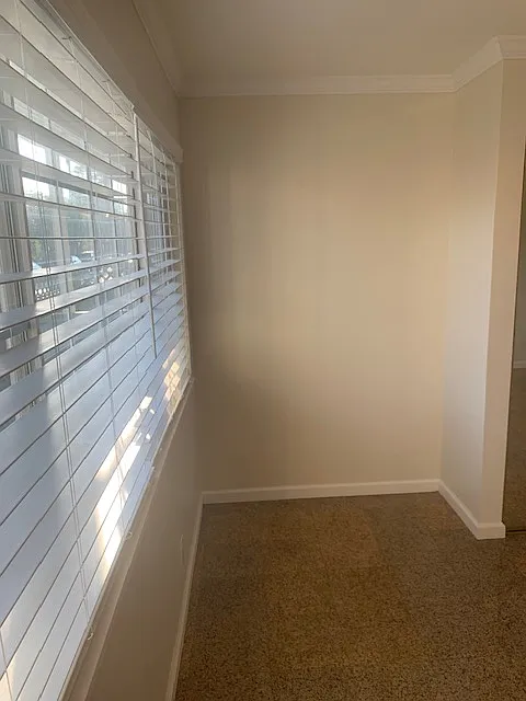 Studio, 375 sqft, $1,750 — Photo 1