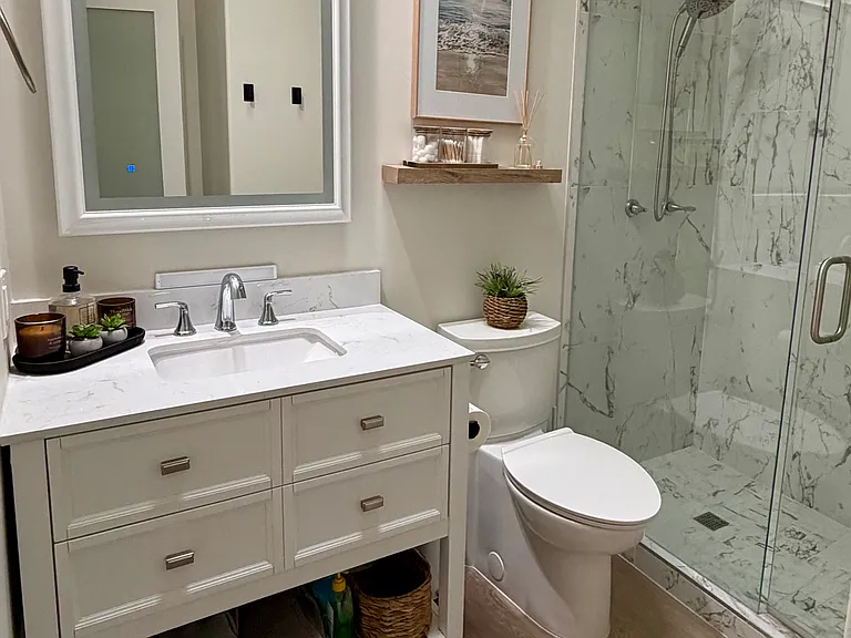 Guest bathroom and shower