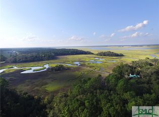 LOT 3 Eagle Neck Dr, Townsend, GA 31331