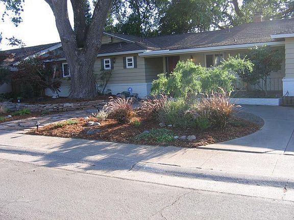 front yard