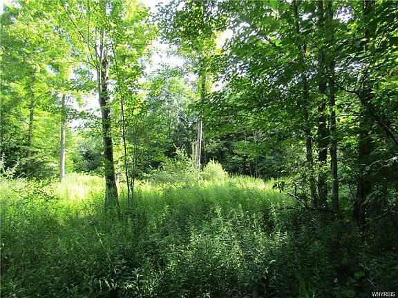3rd image of 6806 County Road 17