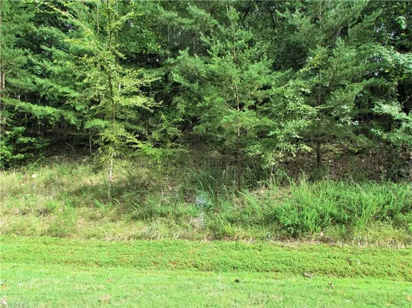 0 Rocky Cove Ln #45, Denton, NC 27239