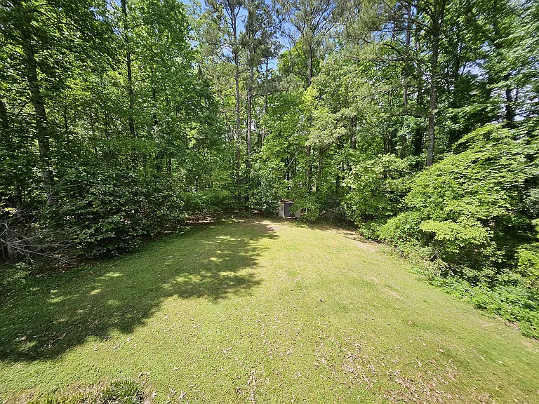 Back yard
