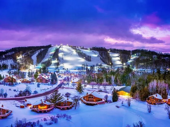 6520 Schuss Mountain Ln #209, Mancelona, MI 49659