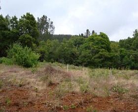 3rd image of 3640 Westridge Cir
