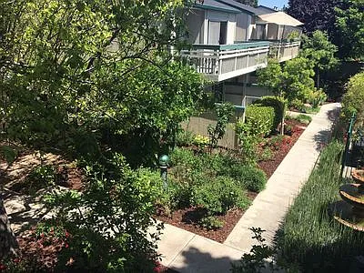 Live Oak Apartments — Photo 108