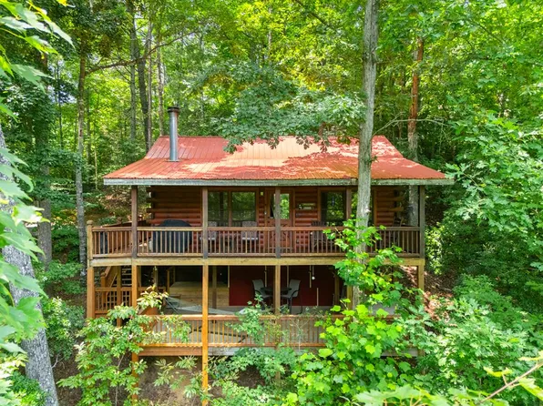 203 Mountain View Dr, Cherry Log, GA 30522