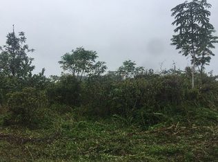 8th Ave LOT 1897, Keaau, HI 96749