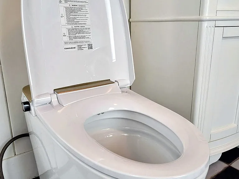 Bidet toilet
