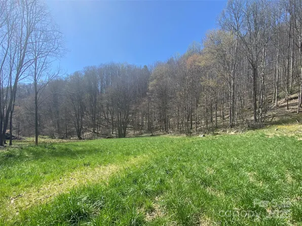 0 Laurel Valley Rd, Mars Hill, NC 28754