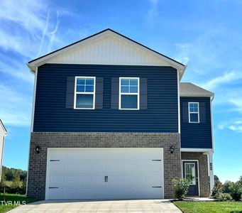 164 Tanasqui Dr, Johnson City, TN, 37604