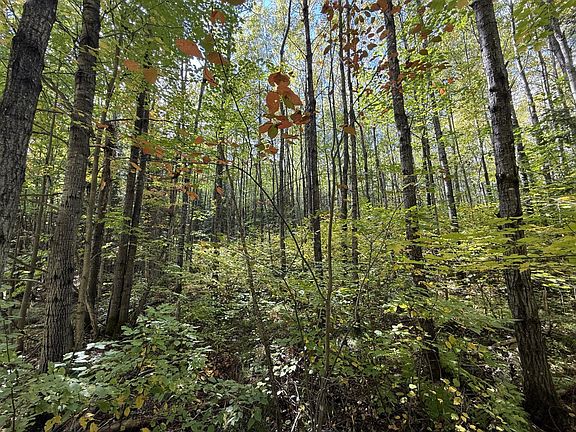 3rd image of LOT 1.24 Swamsauger Heights Rd