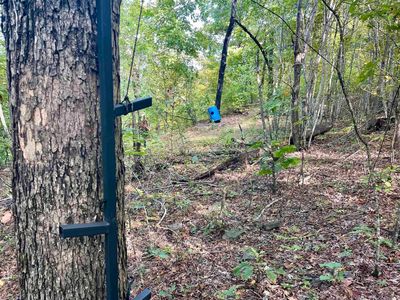 (Undisclosed Address), Clinton, AR, 72031