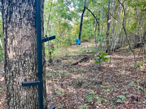 (undisclosed Address), Clinton, AR 72031