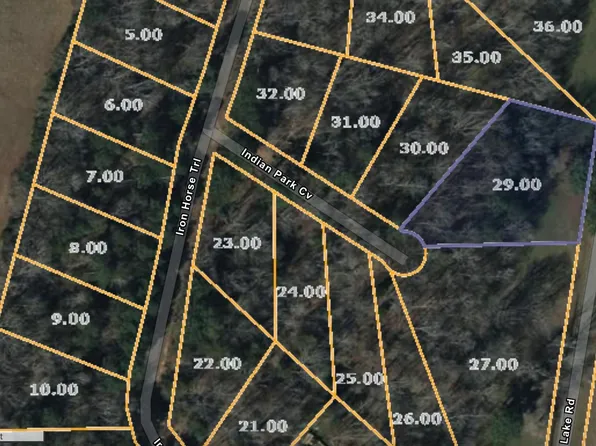 134 Indian Park Dr Lot 134, Parsons, TN 38363