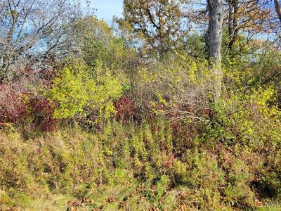 County Road 125, Chaumont, NY, 13622