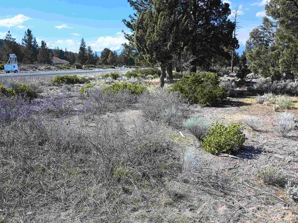 8 1/265 Rockwood Rd, Weed, CA 96094