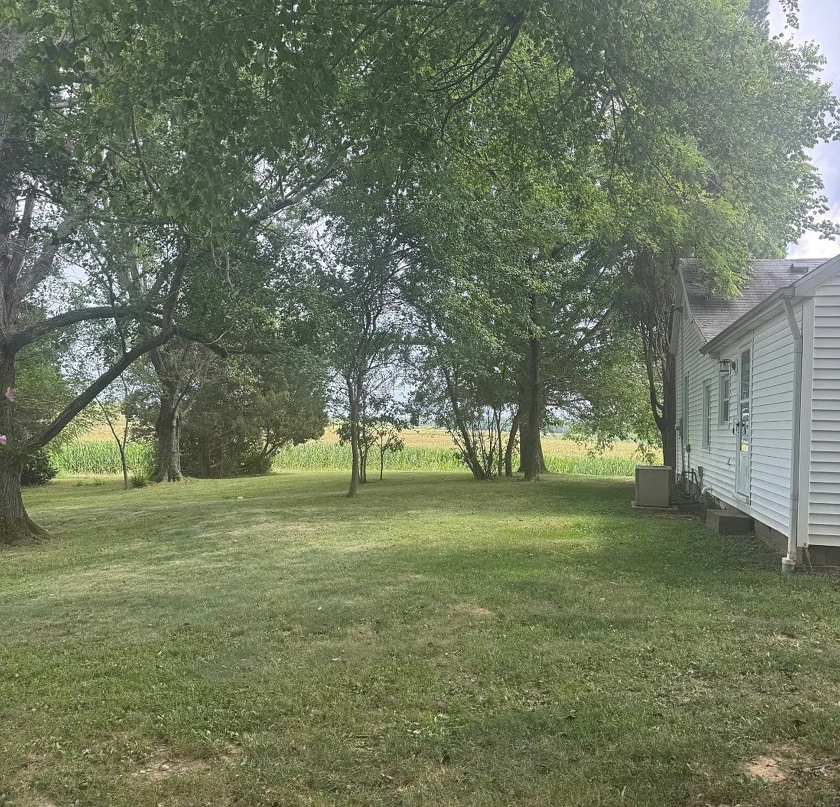 1 bed, 1.0 bath, $950 — Photo 3