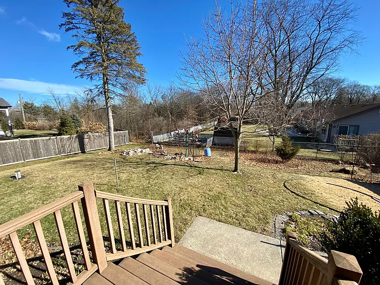 Back yard