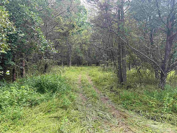 5th image of 11289 Cowpasture River Hwy