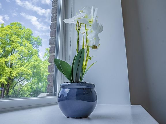 Large windows allow nearly continuous natural light throughout the day while deep window sills play host to all the plants your heart desires.