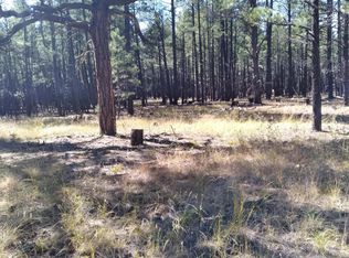 In Lakeside, Lakeside, AZ 85929