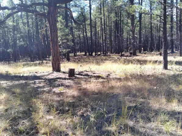 In Lakeside, Lakeside, AZ 85929