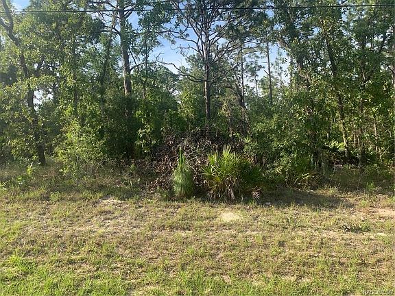 3rd image of 6631 N Bedstrow Blvd