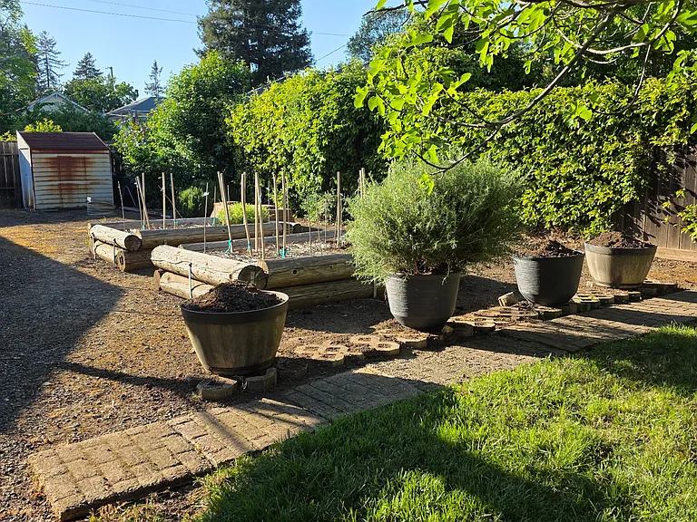 341 Coombs St — Photo 15