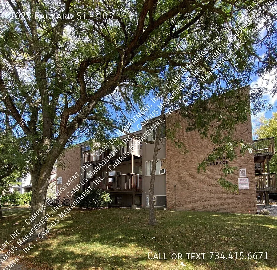 2 bed, $1,295 — Photo 2