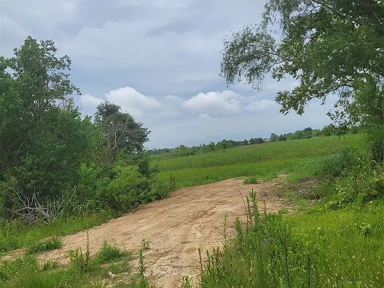 1585 FM 686 — Photo 6