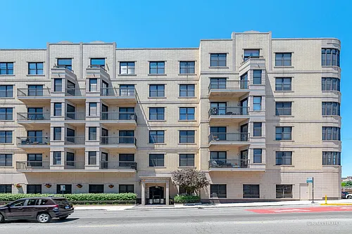 520 N Halsted St #516 Photo 1