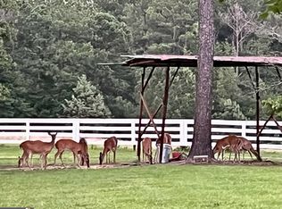 0 Dorton Creek Rd, Manchester, GA 31816