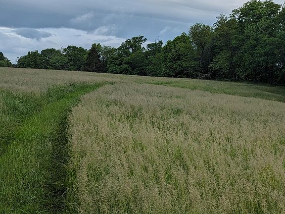 2nd image of Harris Rd