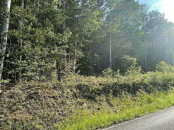 2nd image of 0 Lower Gordon Springs Rd