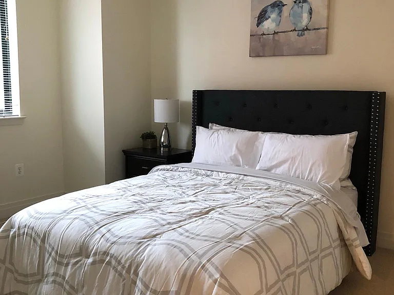 414 Water St #1204 — Photo 12