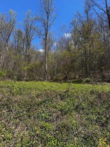 Toneys Fork Rd, Scarbro, WV, 25917