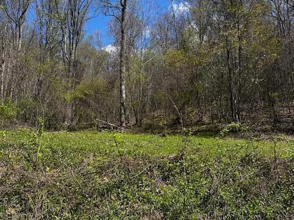 Toneys Fork Rd, Scarbro, WV 25917