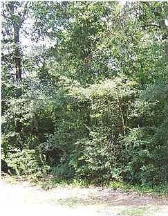1st image of 7001 Trammel Dr