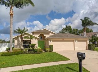 4817 Everhart Dr, Land O Lakes, FL 34639