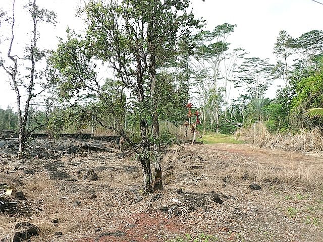 1st image of 017TH Avenue