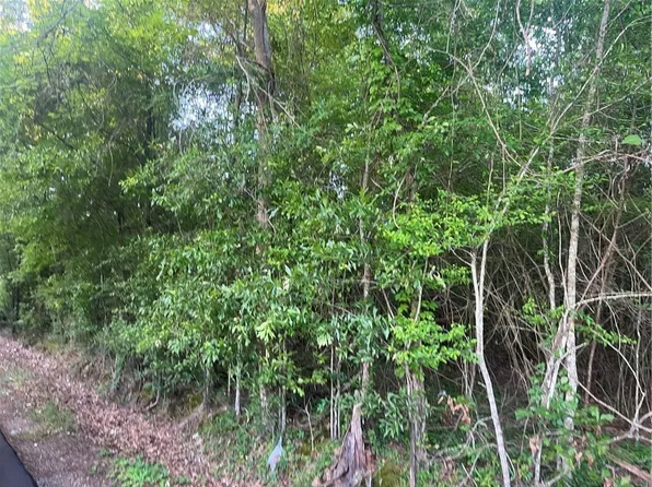 Faith Mission Baptist Rd Lot 1, Marksville, LA 71351