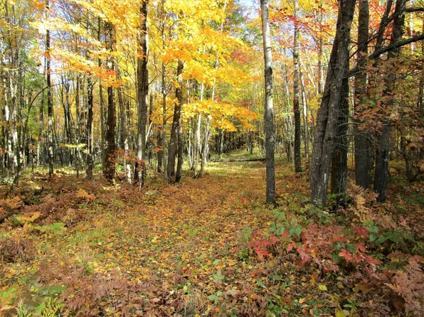 LOT 17 103rd St, Frederic, WI 54837