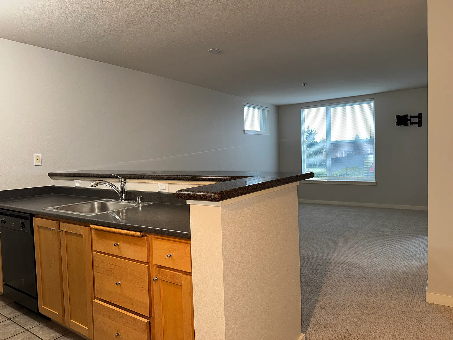 1 bed, 535 sqft, $1,600 — Photo 4