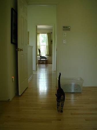 1st image of 6608 Kelsey Point Cir