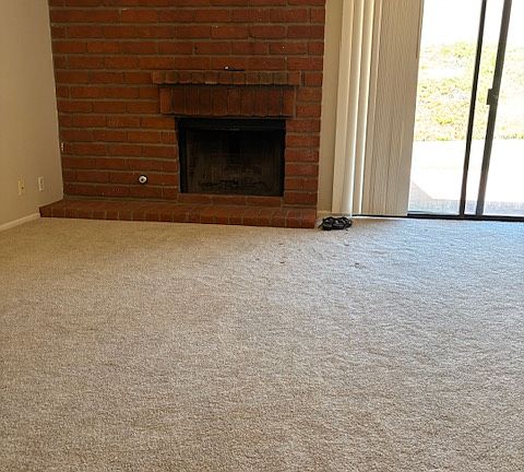 Fireplace in Family Room