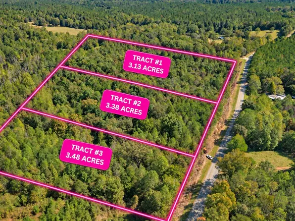 TRACT 2 Lees Bridge Rd, Delta, AL 36258