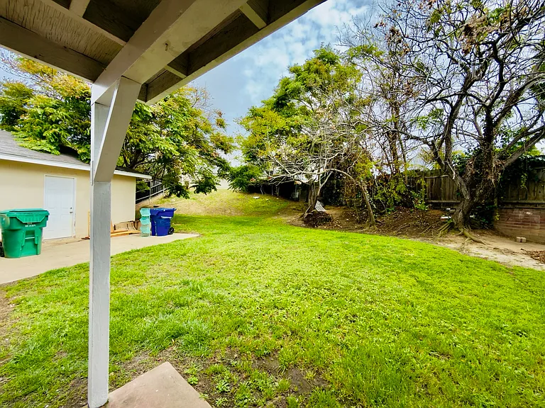 Backyard
